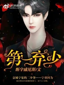 第一弃少(出书版)