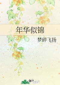 年华似锦